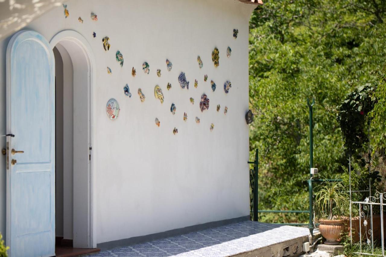 B&b DORMIDAME' Positano Exterior foto
